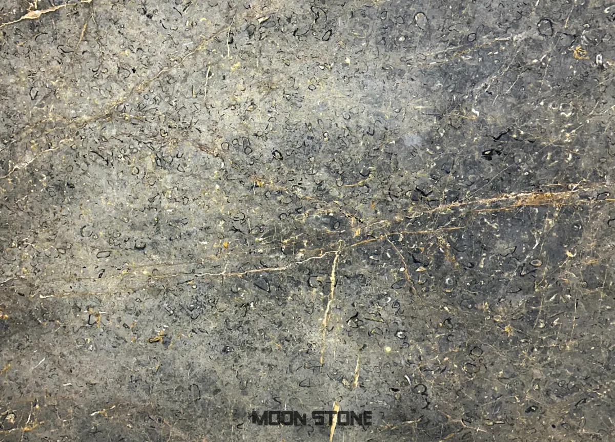 Golden Black Marble